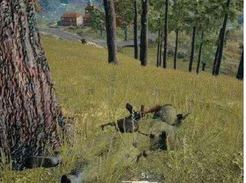 羊山吃瓜事件视频,一场引发热议的网络狂欢