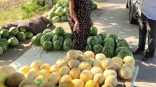 热门的吃瓜视频有哪些,揭秘娱乐圈幕后故事