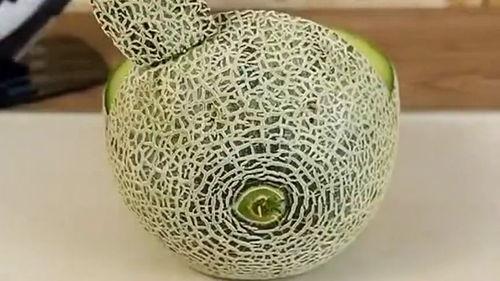 拿勺吃哈密瓜的视频播放,拿勺品尝的视觉盛宴