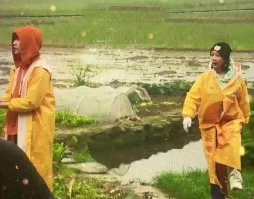 杨紫路透吃瓜是真的吗视频,真相揭秘还是误传风波？