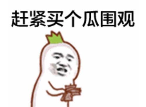 吃瓜群众帅气视频大全最新,盘点网络红人风采瞬间