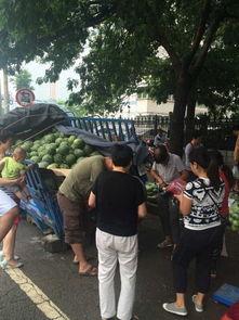 长垣市吃瓜事件视频,一场引发热议的网络视频风波