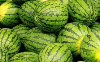 吃瓜群众捧西瓜视频大全,盘点全网最热捧西瓜视频大全