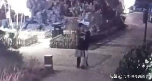 梁山吃瓜最新事件视频,最新事件视频揭秘真相