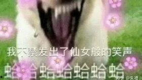 摸鱼吃瓜看戏视频,揭秘“摸鱼吃瓜看戏”短视频背后的娱乐现象