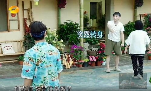 暴力吃瓜事件真相视频大全,真相视频大全深度解析