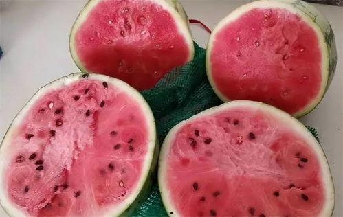 小宝吃麒麟瓜视频,萌态可掬萌翻网友