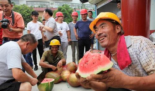 河南农民吃瓜视频播放,瓜田乐趣引网友热议