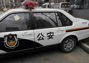 开警车吃白瓜视频,一场别开生面的夏日警民互动