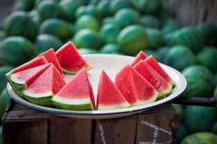 老人可以吃酸角瓜吗视频,适合老年人的健康美味选择