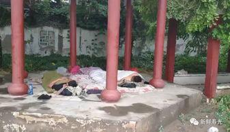 吃瓜凉亭跳舞视频,夏日狂欢瞬间引爆网络