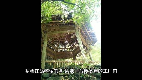 吃瓜凉亭跳舞视频,夏日狂欢瞬间引爆网络