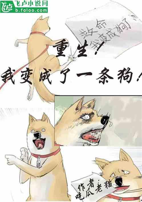 马虎虎吃瓜视频大全下载,趣味横生的搞笑瞬间大盘点