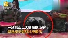 5月5日吃瓜合集视频播放,热门视频播放合集深度解析