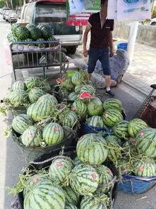 招远最新吃瓜事件真相视频,真相视频曝光，疑云散去