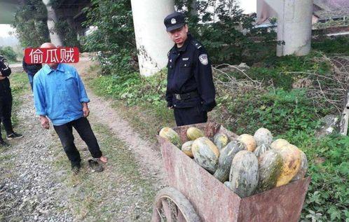 招远最新吃瓜事件真相视频,真相视频曝光，疑云散去