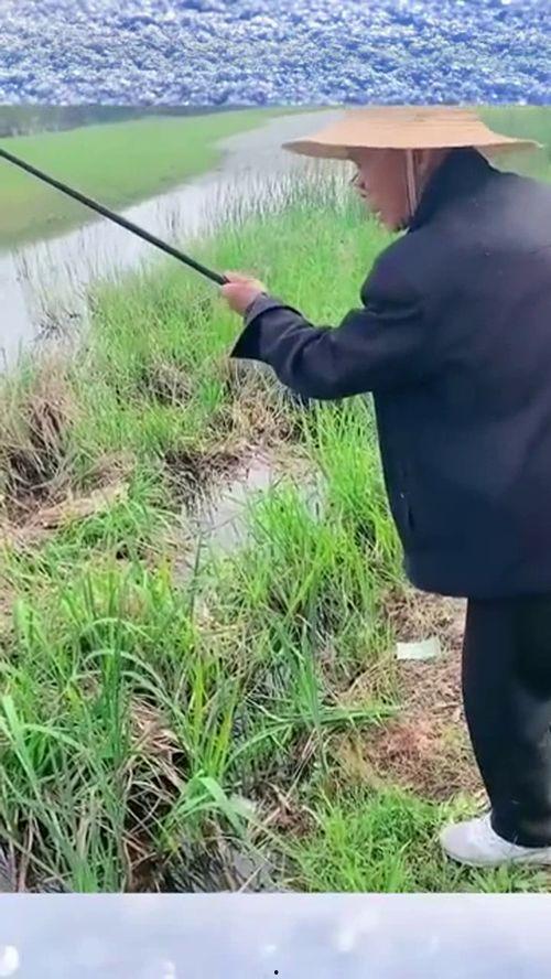 老大爷吃瓜钓鱼视频播放,老大爷吃瓜钓鱼视频走红网络