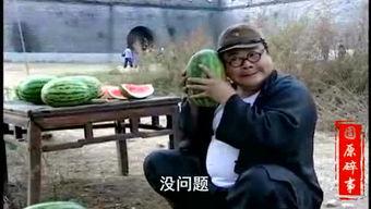 吃瓜本瓜搞笑视频大全,笑料横生！吃瓜本瓜搞笑视频大盘点