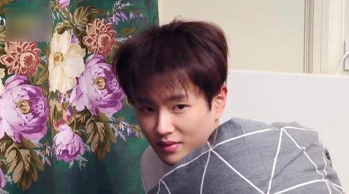 王弈吃瓜现场视频大全,视频大全揭秘娱乐圈幕后风云