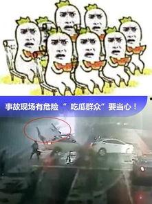 辽宁吃瓜事件视频播放,视频播放背后的热议与反思