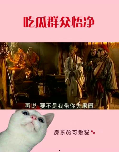 吃瓜观众吵架视频播放