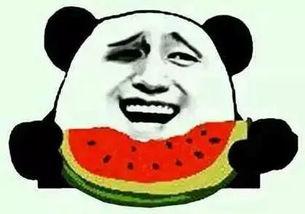 哄女朋友吃瓜视频大全,哄女友笑不停，吃瓜视频大全大放送