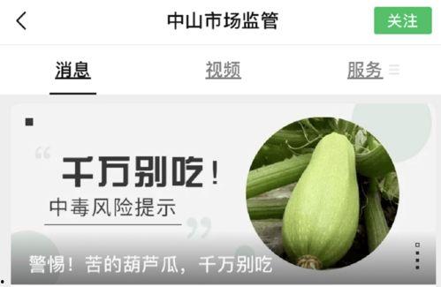 看吃葫芦瓜的视频怎么拍