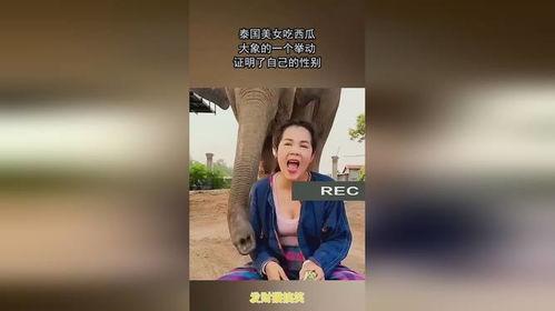 泰国吃瓜美女图片视频在线观看