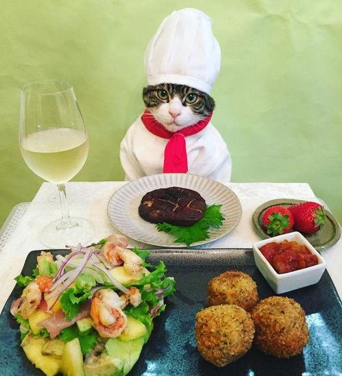 一名吃瓜人士的故事视频