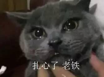 是叶小喵啦吃瓜视频,揭秘娱乐圈幕后故事