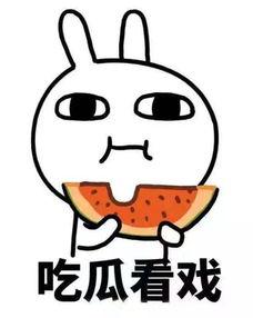 吃瓜体育学长视频素材,视频素材背后的精彩瞬间