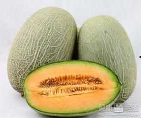 二狗很忙吃哈密瓜视频在线观看,哈密瓜美食之旅