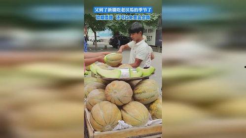 新疆老汉吃瓜视频大全,瓜香四溢的欢乐时光