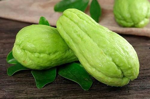 出苗的葫芦瓜可以吃吗视频,揭秘新鲜采摘的口感魅力