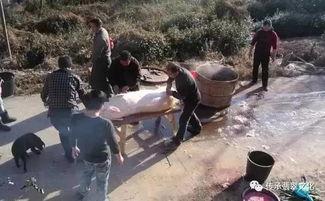 民间灵异事件吃瓜视频,吃瓜群众视角下的神秘现象